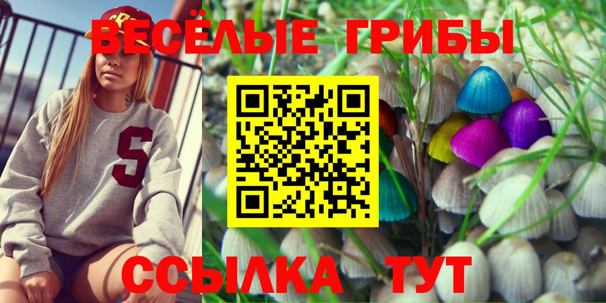 Галлюциногенные грибы Magic Shrooms Чистополь
